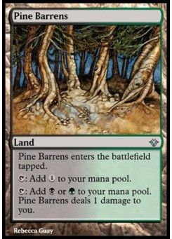Pine Barrens