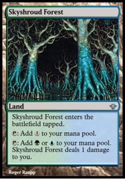 Skyshroud Forest
