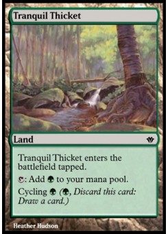 Tranquil Thicket