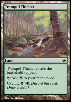Tranquil Thicket