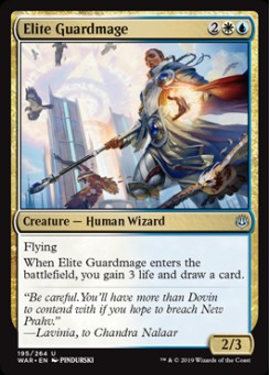 Elite Guardmage