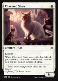 Charmed Stray