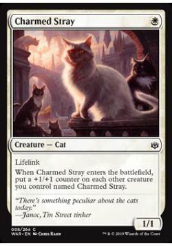 Charmed Stray