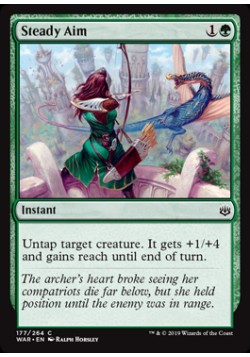 Steady Aim