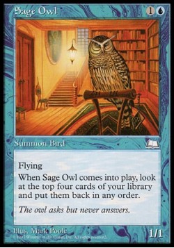 Sage Owl