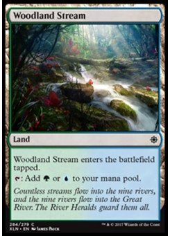 Woodland Stream