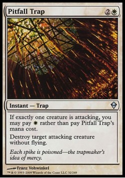 Pitfall Trap