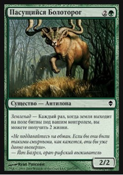 Пасущийся Болоторог