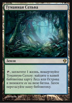 Туманная Сельва