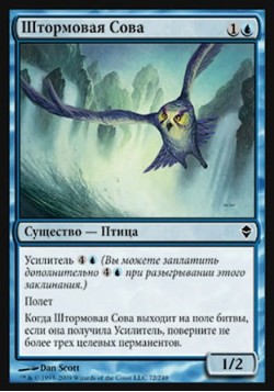 Штормовая Сова