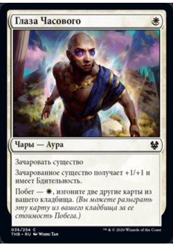 Глаза Часового