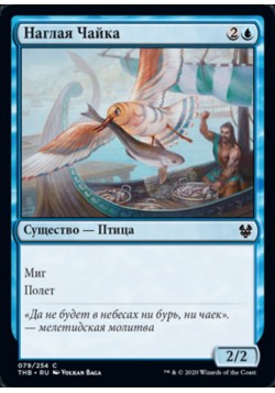 Наглая Чайка