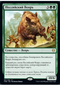 Нессийский Вепрь