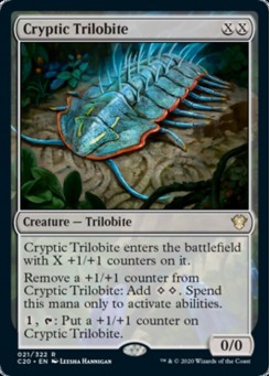 Cryptic Trilobite