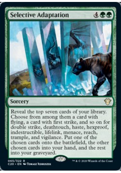 Selective Adaptation