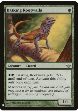 Basking Rootwalla