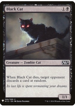 Black Cat