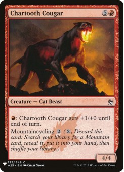 Chartooth Cougar