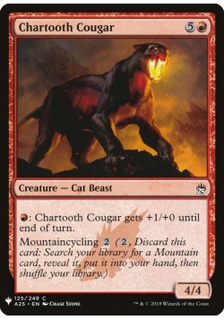 Chartooth Cougar