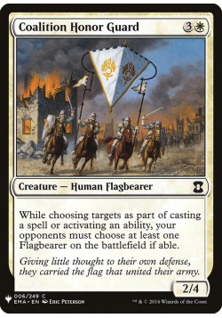 Coalition Honor Guard