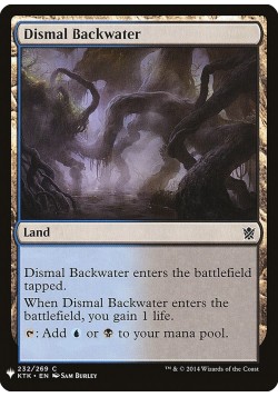 Dismal Backwater