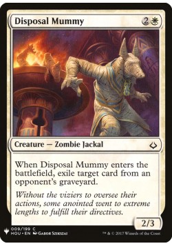 Disposal Mummy