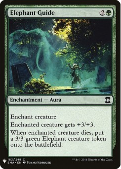 Elephant Guide
