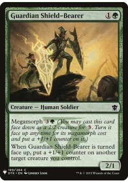 Guardian Shield-Bearer