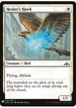 Healer's Hawk