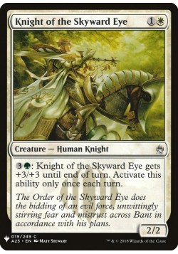 Knight of the Skyward Eye