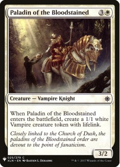 Paladin of the Bloodstained