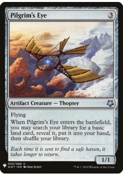 Pilgrim's Eye