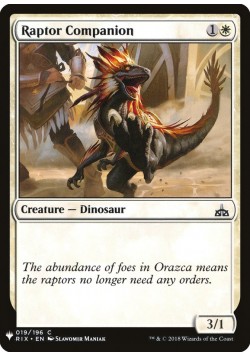 Raptor Companion