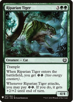Riparian Tiger