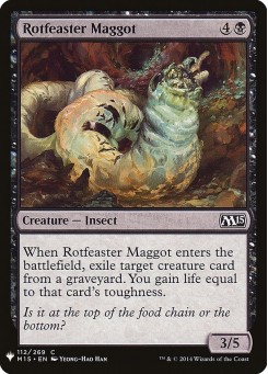 Rotfeaster Maggot