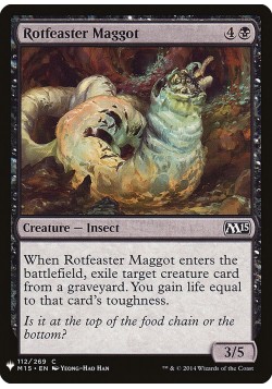 Rotfeaster Maggot