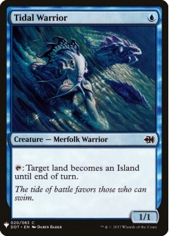Tidal Warrior