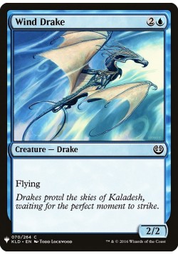Wind Drake