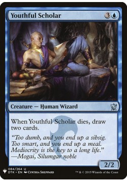 Youthful Scholar