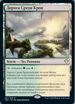 Дорога Среди Крон