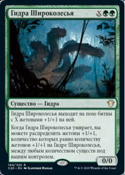 Гидра Широколесья