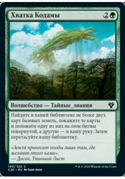 Хватка Кодамы