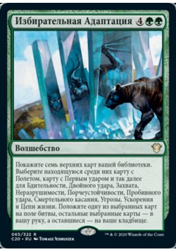 Избирательная Адаптация