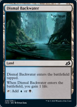 Dismal Backwater