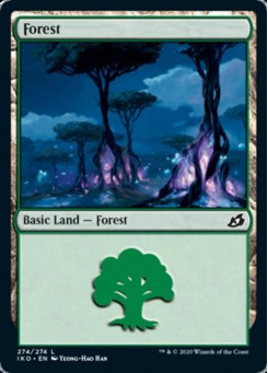 Forest-274