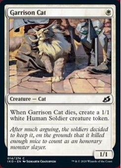 Garrison Cat