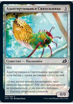 Адаптирующаяся Сиятельница