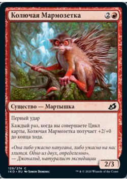 Колючая Мармозетка