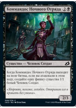 Коммандос Ночного Отряда