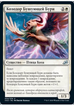 Козодор Бушующей Бури